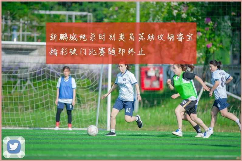 新鹏城绝杀时刻奥乌苏助攻胡睿宝精彩破门比赛随即终止