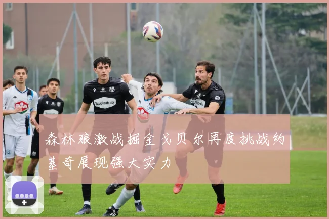 森林狼激战掘金戈贝尔再度挑战约基奇展现强大实力